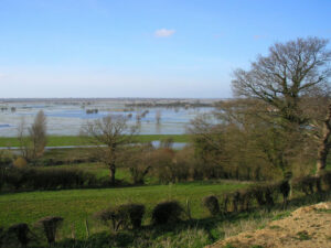 Marais du Cotentin